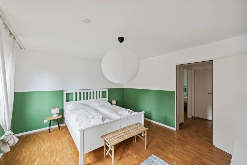Spacious Apartment In The Heart Of Zurich Zltwg68 エクステリア 写真